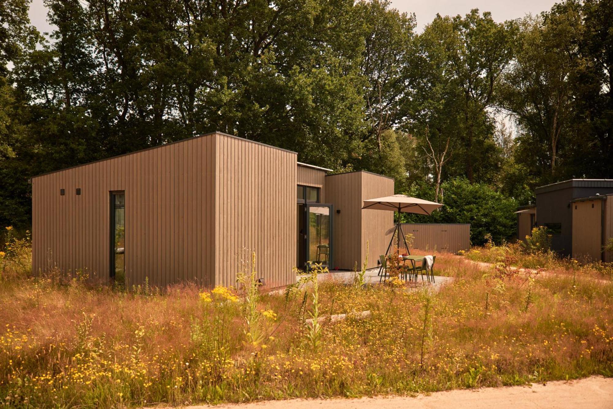 Dutchen Zeegser Duinen Suitelodges Exteriér fotografie