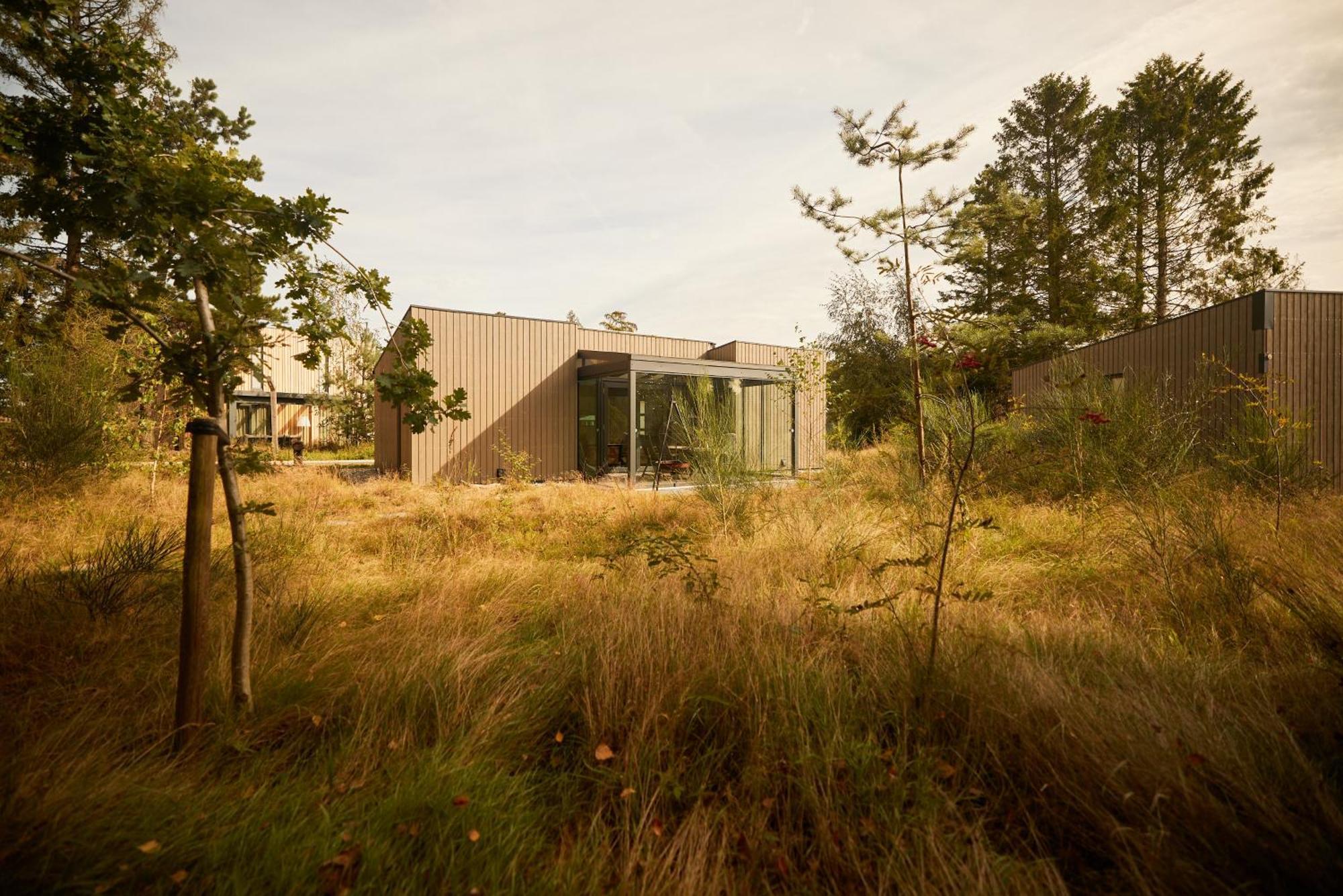 Dutchen Zeegser Duinen Suitelodges Exteriér fotografie